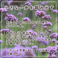画像2189