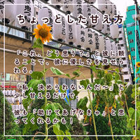 画像2233