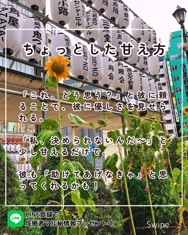 画像2233