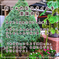 画像2234
