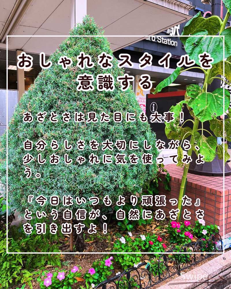画像2234