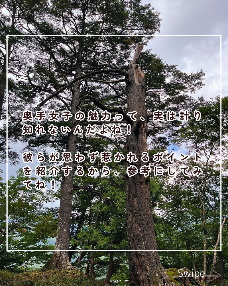画像2254