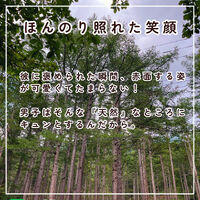 画像2255